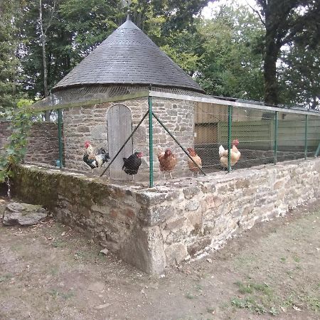 Les Gites Du Grenit La Chapelle-Neuve  Экстерьер фото